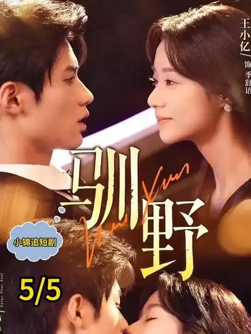 韩国职场短剧逆袭的实习生海报